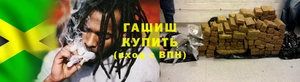 индика Костерёво