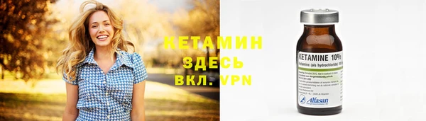 индика Костерёво