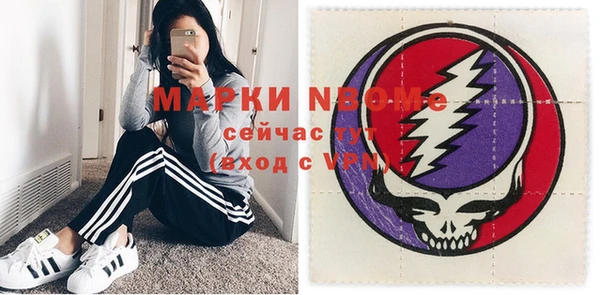 a pvp Бородино