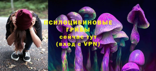 MESCALINE Гусиноозёрск