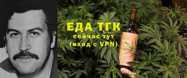 индика Костерёво