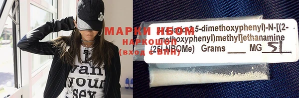 индика Костерёво