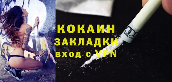 индика Костерёво