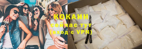 индика Костерёво