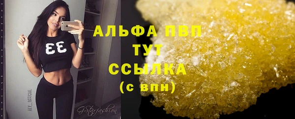 индика Костерёво