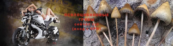 первитин Коряжма