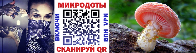 OMG ТОР  Микунь  Галлюциногенные грибы GOLDEN TEACHER  купить наркотик 